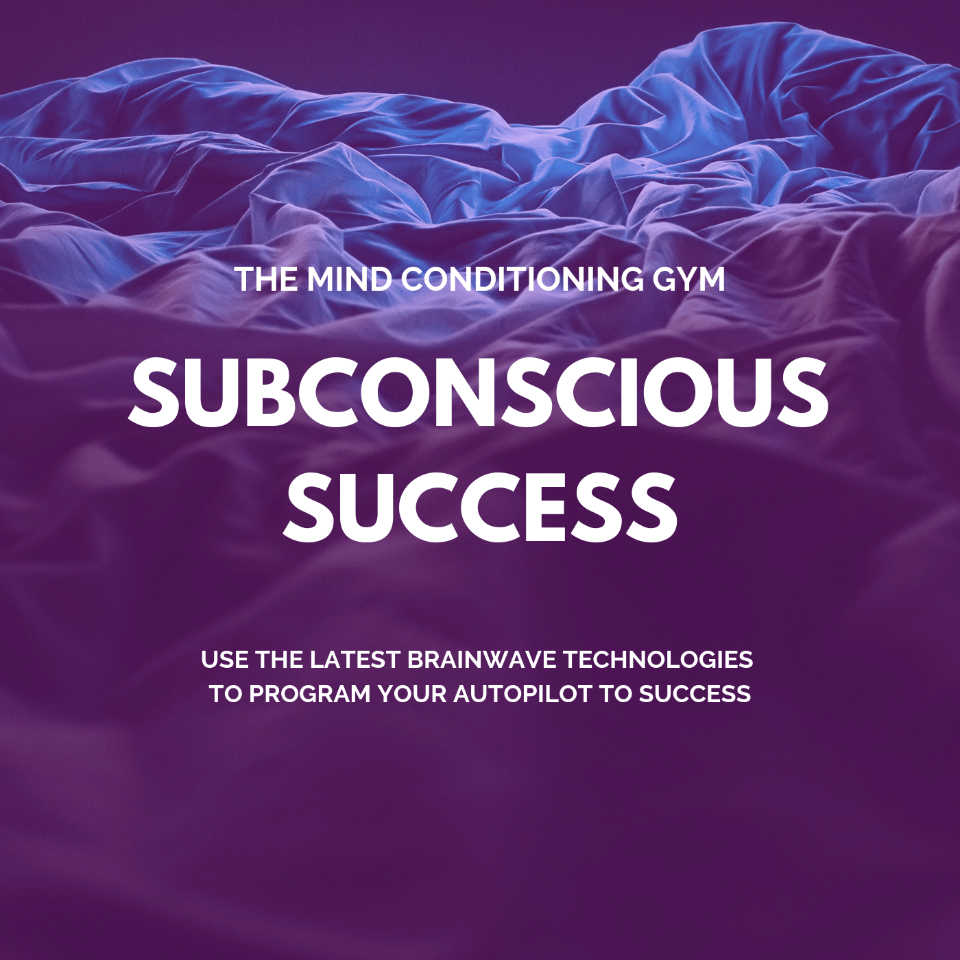 Subconscious success program